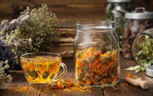 Las mejores infusiones para adelgazar