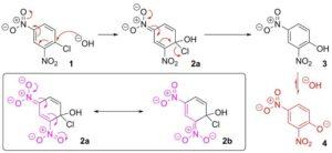 Sustitución nucleofílica aromática