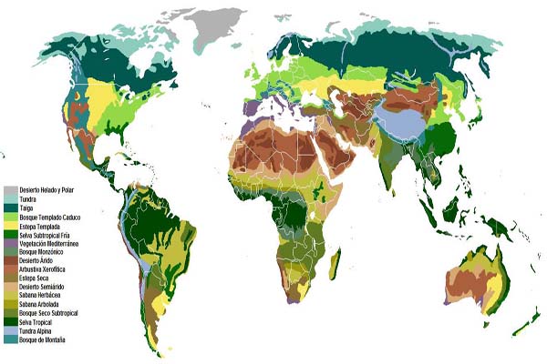 Tipos De Ecosistemas Y Sus Características