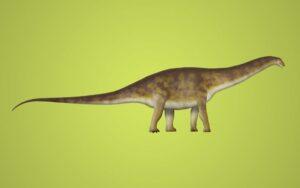 Apatosaurus