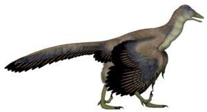 Archaeopteryx