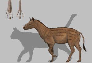 Hyracotherium