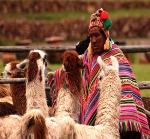 Economía inca: organización, bases y actividades del imperio