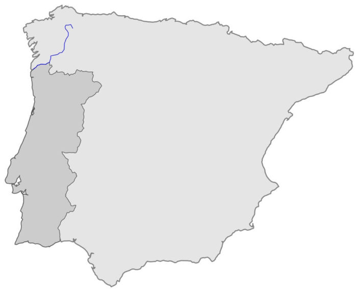 Río Miño: qué es, nacimiento, recorrido, desembocadura, afluentes