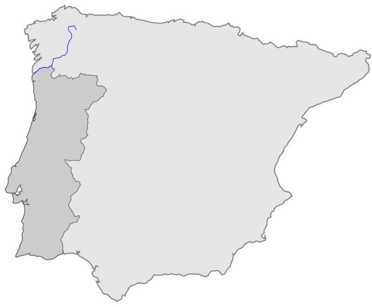 Río Miño: qué es, nacimiento, recorrido, desembocadura, afluentes