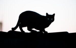 Creencias populares extendidas alrededor del mundo