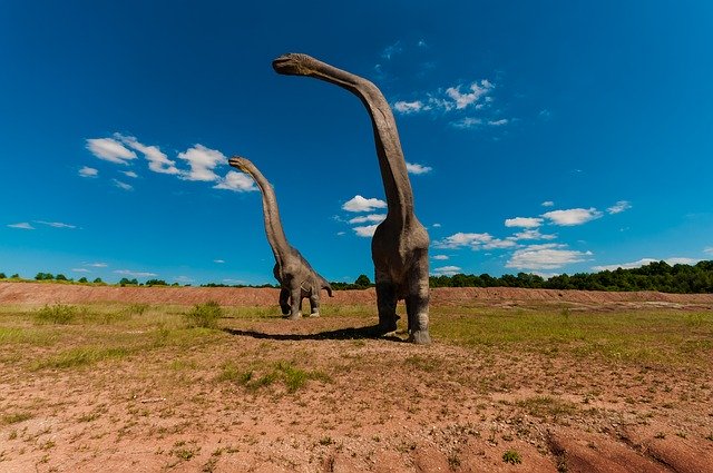 Los 20 animales más grandes de la historia de la Tierra