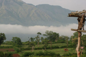 La geografía rural es una subdisciplina de la geografía humana. Fuente: Vijay Sawant from Bangalore, India [CC BY 2.0 (https://creativecommons.org/licenses/by/2.0)], vía Wikimedia Commons.