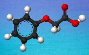 Ácido fenoxiacético