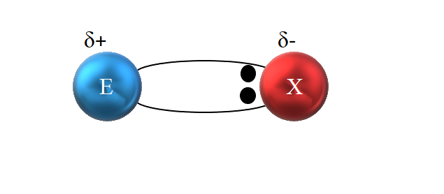 covalente polar: características ejemplos