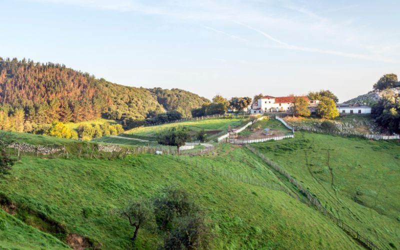 Geografía rural: qué es, qué estudia, metodología, conceptos básicos