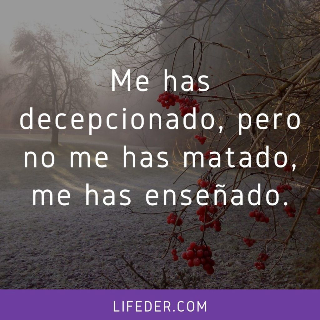 Imagenes con frases de decepcion de tu pareja. 