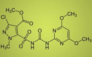 Metil o grupo metilo