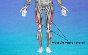 Vasto lateral