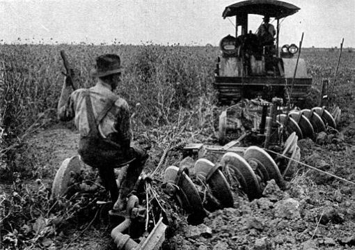 Historia De La Agricultura Desde Su Origen Hasta La Actualidad historia-de-la-agricultura-desde-su-origen-hasta-la-actualidad