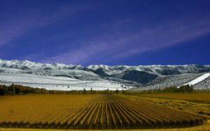 Actividades económicas de Argentina