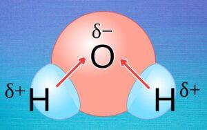 Enlace covalente polar