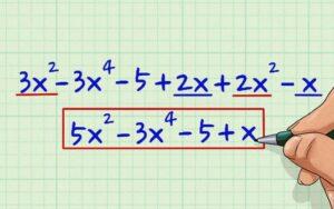 Grado de un polinomio