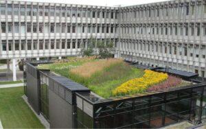 Historia de la ecología