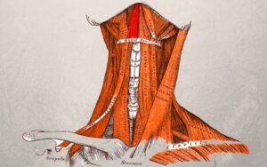 Músculo genihioideo