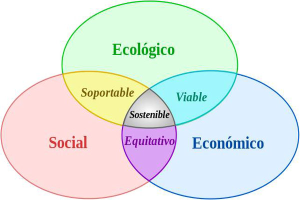 Consumo sustentable: para qué sirve, importancia, acciones, ejemplos
