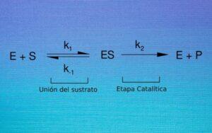 Reacción irreversible