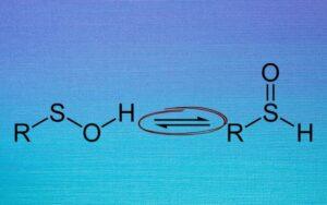 Reacción reversible