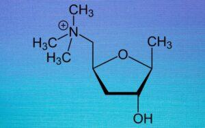 Receptores muscarínicos