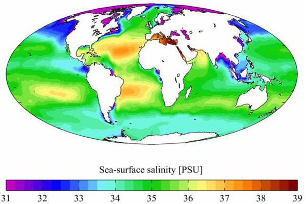 Aguas oceánicas: características, composición, tipos, ejemplos