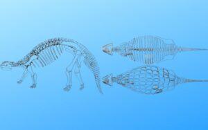 Anquilosaurio
