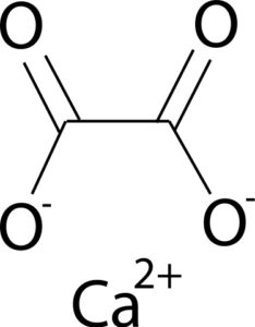 Oxalato de calcio (CaC2O4): propiedades, estructura, usos, riesgos