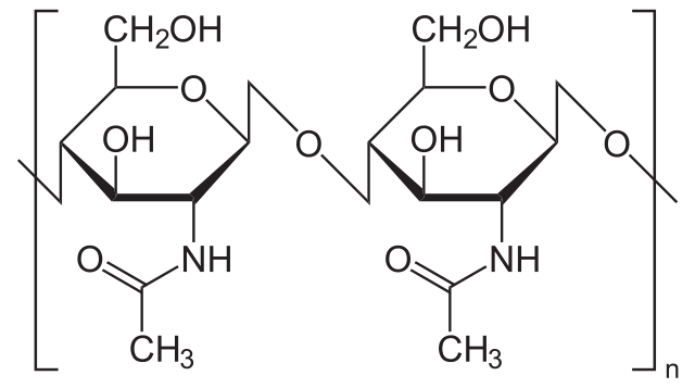 Inulina: estructura, propiedades, alimentos, contraindicaciones