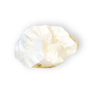 Silicato de calcio: propiedades, estructura, obtención, usos