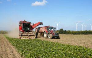 Actividades económicas primarias