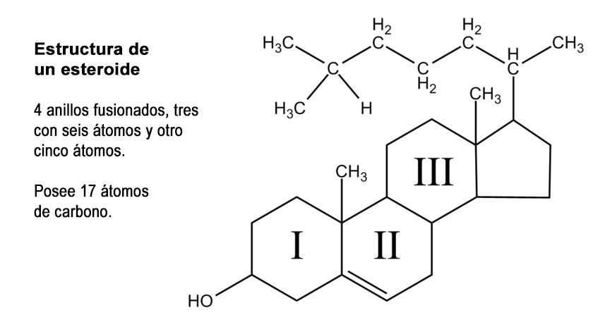 precios de ciclos de esteroides Explicación 101