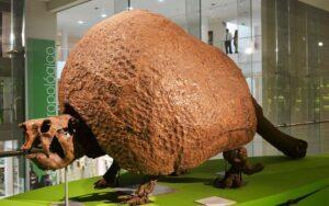 Gliptodonte