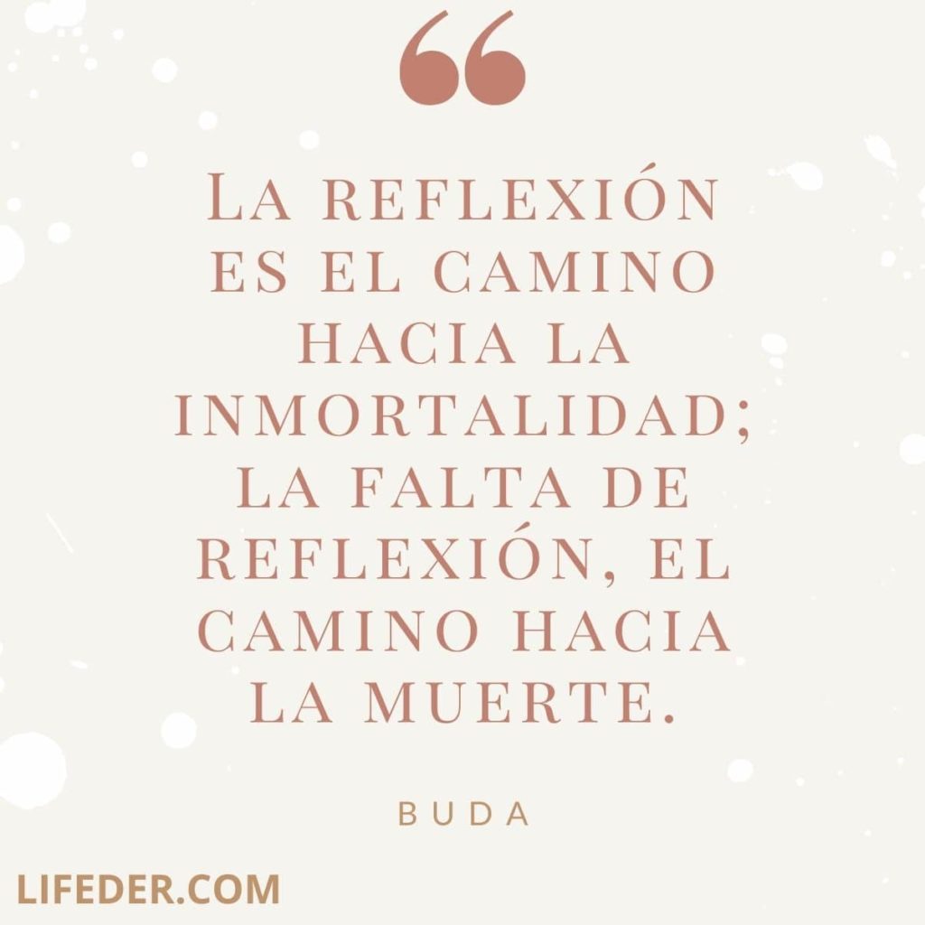 250+ Frases de Reflexión Cortas (con Imágenes)