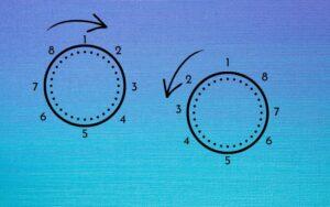 Permutaciones circulares