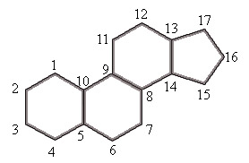 Tres formas rápidas de aprender mejores ciclos de esteroides