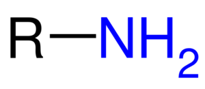 Grupo amino (NH2): estructura, propiedades, ejemplos