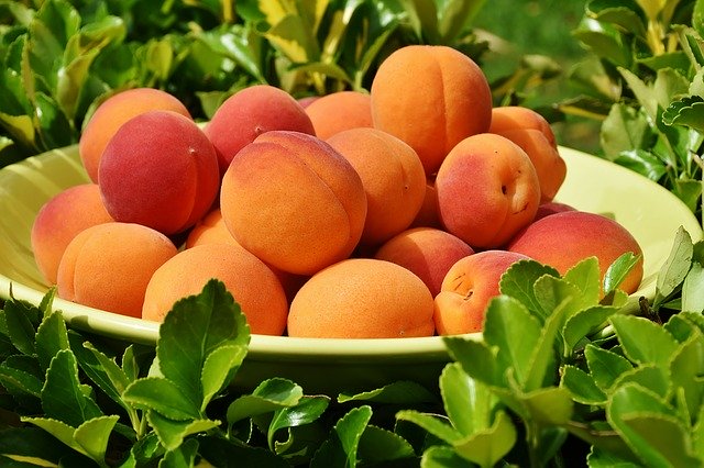las-30-frutas-de-la-sierra-ecuatoriana-m-s-comunes