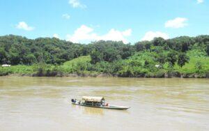 Selva tropical en México