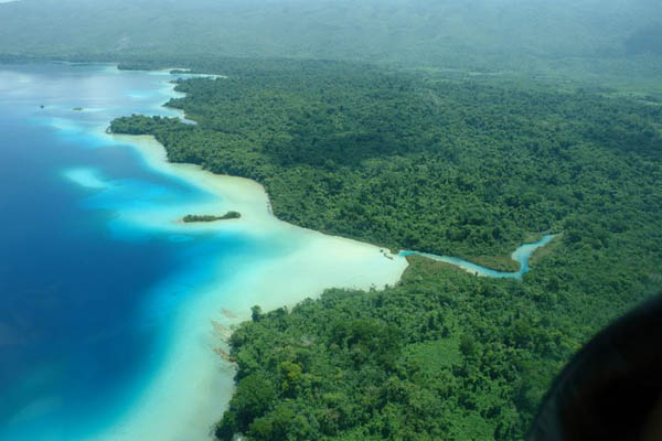 Selva tropical en México: características, ubicación, relieve, flora, fauna
