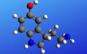 Serotonina