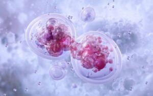 Temas de biología interesantes para investigar y exponer