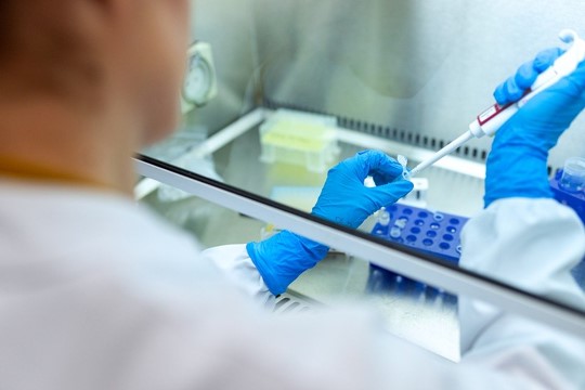 Maestría en Bioética