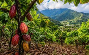 Agricultura en Venezuela