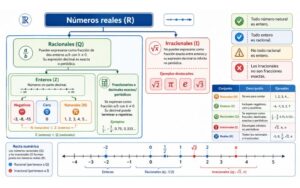 Clasificación de los números reales