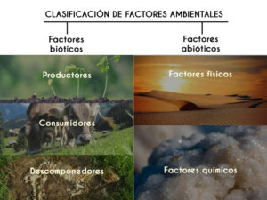 Factores Ambientales: Características y Clasificación