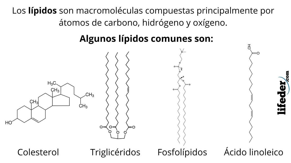 Prostaglandinas ejemplos